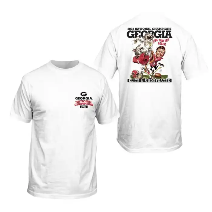 Men's Georgia Bulldogs Playoff Illustration College 2022 National Champions White Football T-Shirt 2410TIDP6