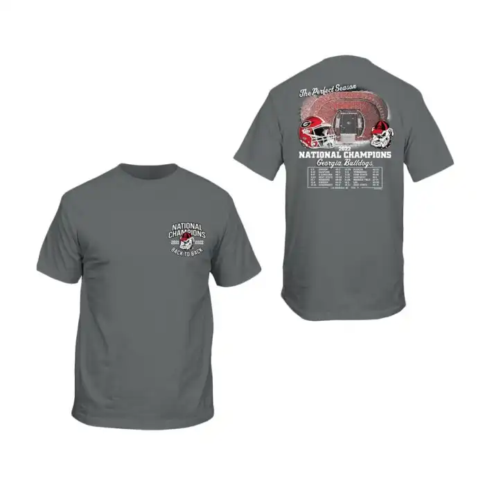 Men's Georgia Bulldogs Playoff Recap College 2022 National Champions Gray Football T-Shirt 2410MJZO8